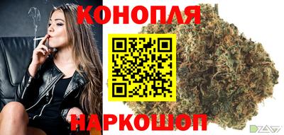 гашик Дубна
