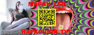 гашик Дубна