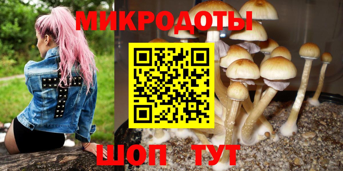 Псилоцибиновые грибы ЛСД Мариинск