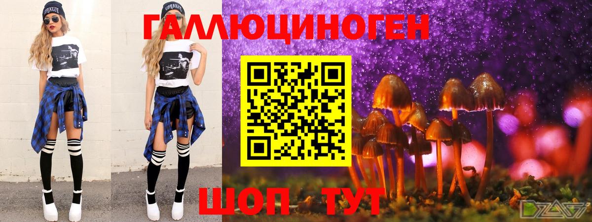 Псилоцибиновые грибы MAGIC MUSHROOMS  Псилоцибиновые грибы прущие грибы  Мариинск  Вход с VPN 